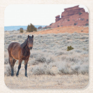 Wild Mustang Foal Square Paper Coaster