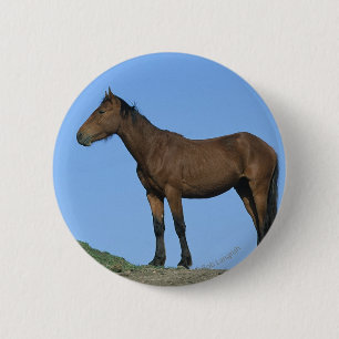 Wild Mustang Horse 6 Cm Round Badge