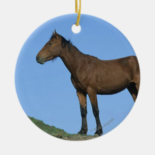 Wild Mustang Horse Ceramic Tree Decoration