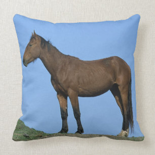 Wild Mustang Horse Cushion