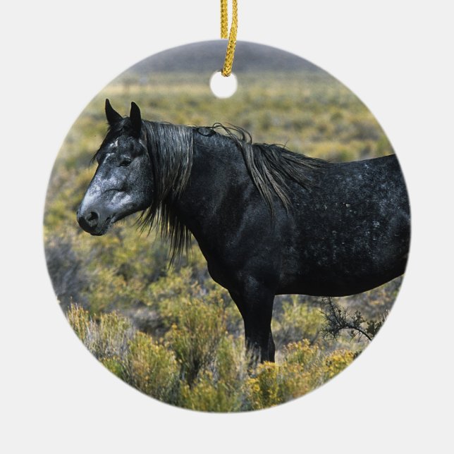 Wild Mustang Horse in the Desert Ceramic Tree Decoration (Front)