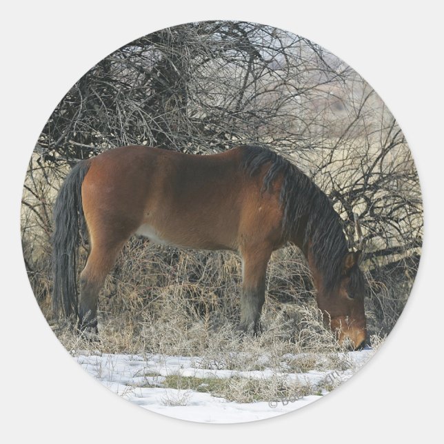Wild Mustang Horse in the Snow 1 Classic Round Sticker (Front)