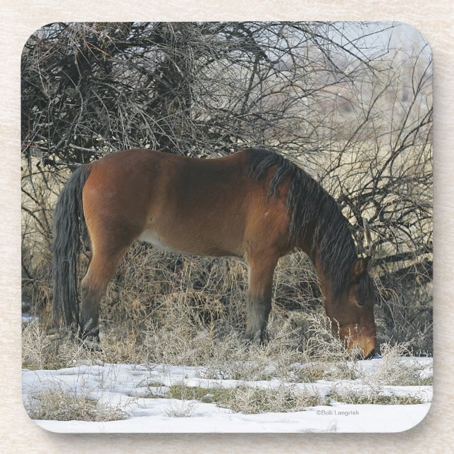 Wild Mustang Horse in the Snow 1 Coaster (Front)
