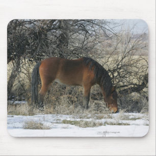 Wild Mustang Horse in the Snow 1 Mouse Pad