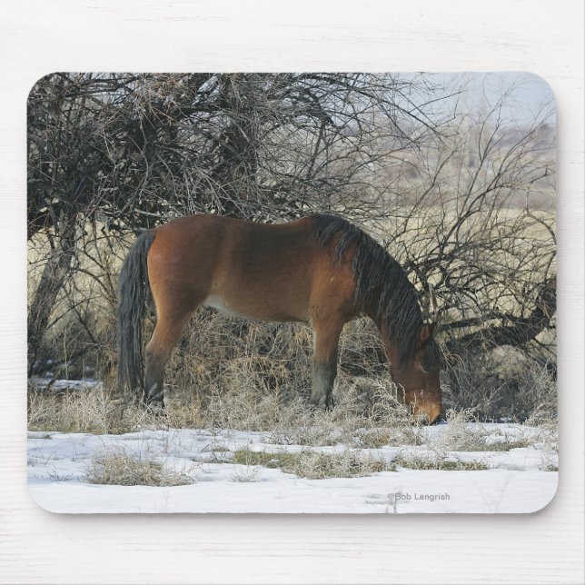 Wild Mustang Horse in the Snow 1 Mouse Pad (Front)