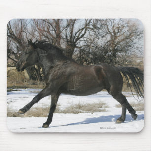 Wild Mustang Horse in the Snow 2 Mouse Pad