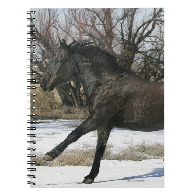 Wild Mustang Horse in the Snow 2 Notebook (Front)