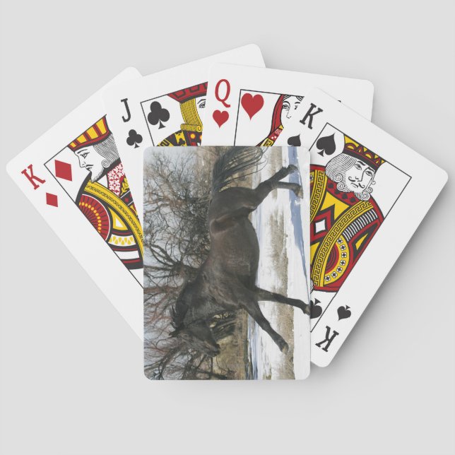 Wild Mustang Horse in the Snow 2 Playing Cards (Back)