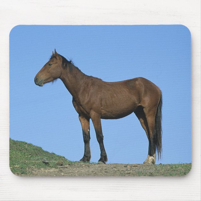Wild Mustang Horse Mouse Pad (Front)