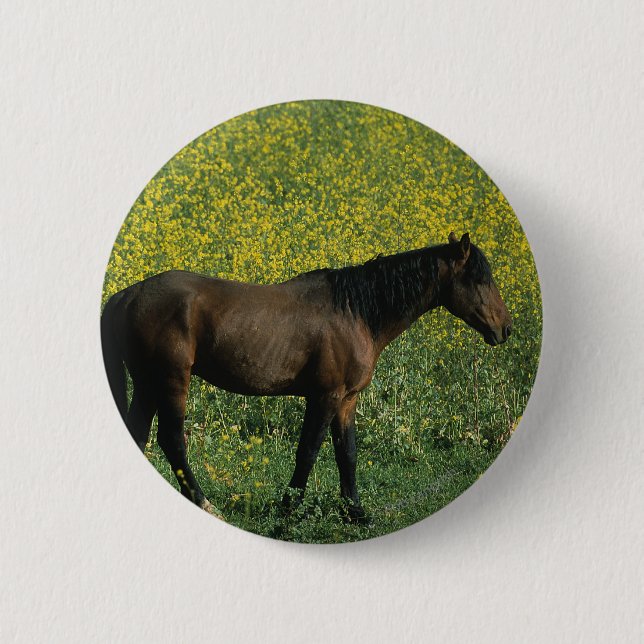Wild Mustang Horse Standing in Flowers 6 Cm Round Badge (Front)