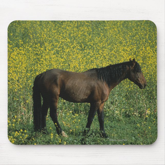 Wild Mustang Horse Standing in Flowers Mouse Pad (Front)
