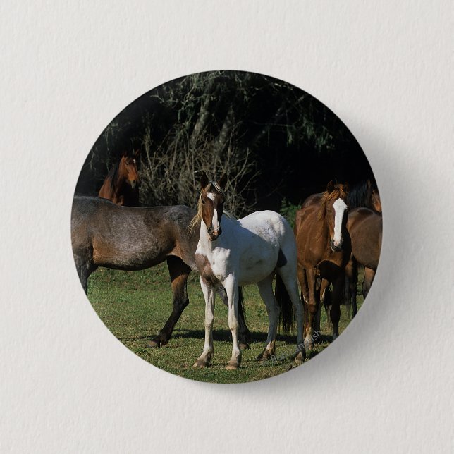 Wild Mustang Horses 1 6 Cm Round Badge (Front)