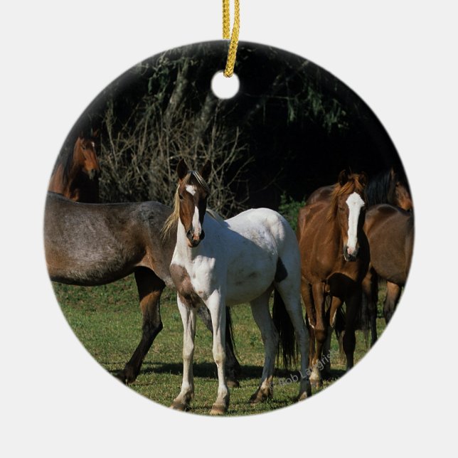 Wild Mustang Horses 1 Ceramic Tree Decoration (Front)