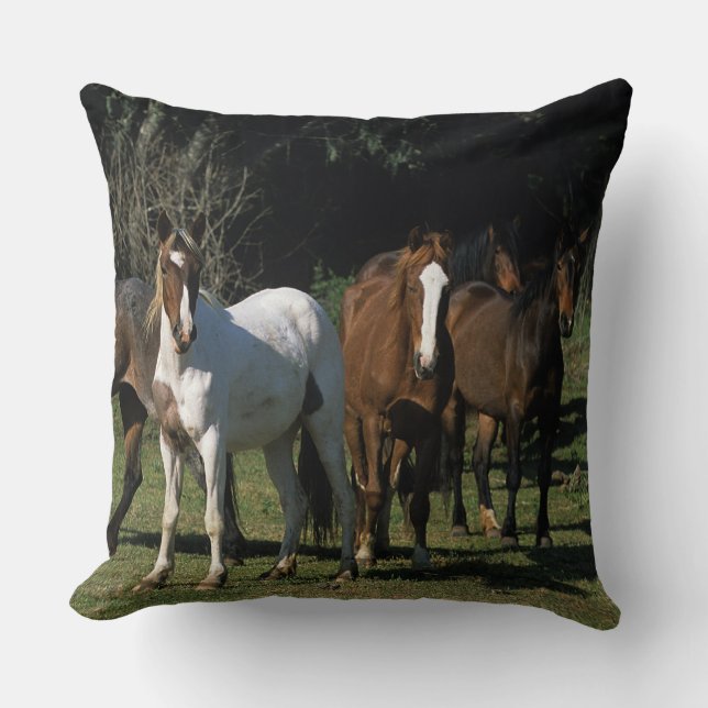 Wild Mustang Horses 1 Cushion (Front)