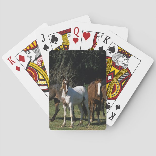 Wild Mustang Horses 1 Playing Cards (Back)