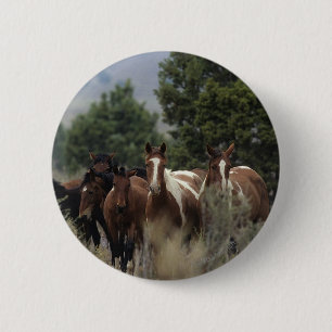 Wild Mustang Horses 2 6 Cm Round Badge