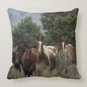 Wild Mustang Horses 2 Cushion