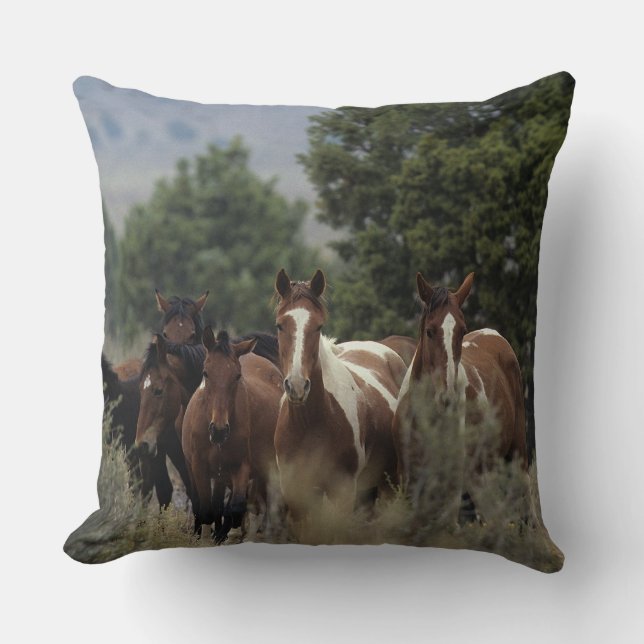 Wild Mustang Horses 2 Cushion (Front)