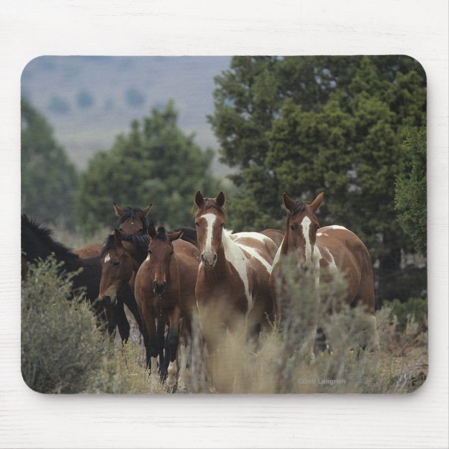 Wild Mustang Horses 2 Mouse Pad (Front)