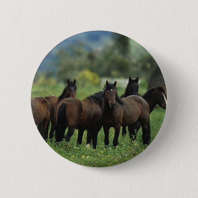 Wild Mustang Horses 3 6 Cm Round Badge (Front)