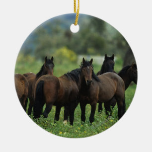 Wild Mustang Horses 3 Ceramic Tree Decoration