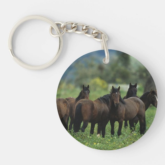 Wild Mustang Horses 3 Key Ring (Front)