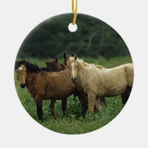 Wild Mustang Horses 4 Ceramic Ornament
