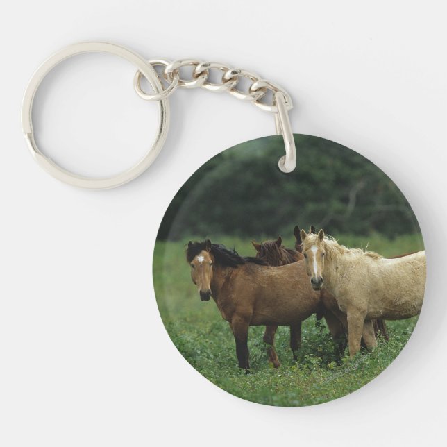 Wild Mustang Horses 4 Key Ring (Front)