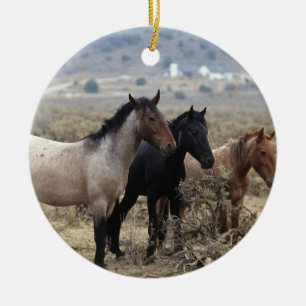 Wild Mustang Horses 5 Ceramic Ornament