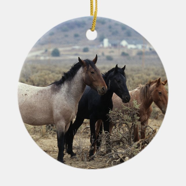 Wild Mustang Horses 5 Ceramic Ornament (Front)