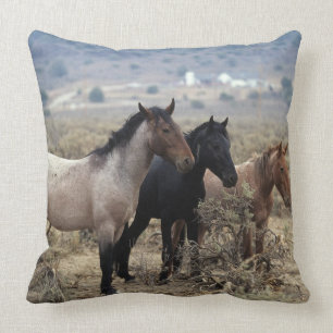 Wild Mustang Horses 5 Cushion