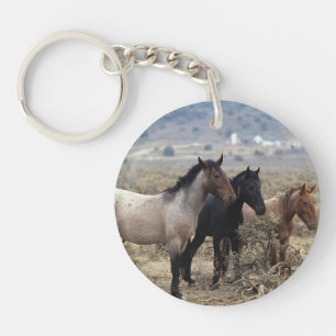 Wild Mustang Horses 5 Key Ring