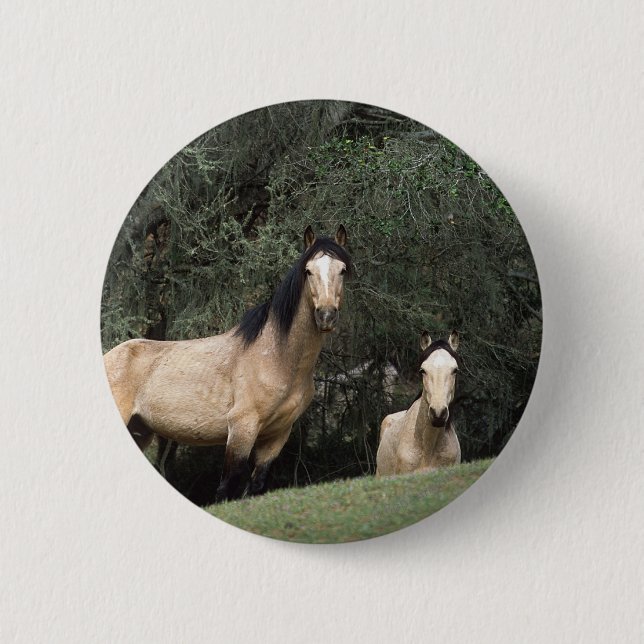 Wild Mustang Horses 6 6 Cm Round Badge (Front)
