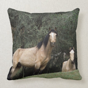 Wild Mustang Horses 6 Cushion