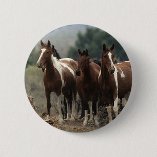 Wild Mustang Horses 7 6 Cm Round Badge