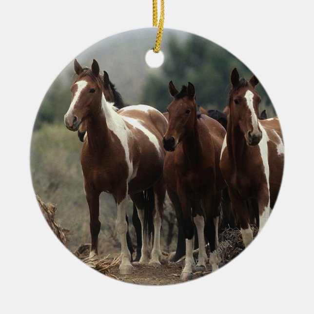 Wild Mustang Horses 7 Ceramic Tree Decoration (Front)