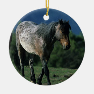 Wild Mustang Horses Ceramic Tree Decoration