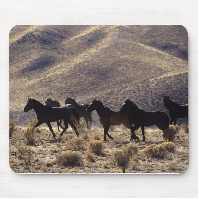 Wild Mustang Horses in the Desert 1 Mouse Pad (Front)