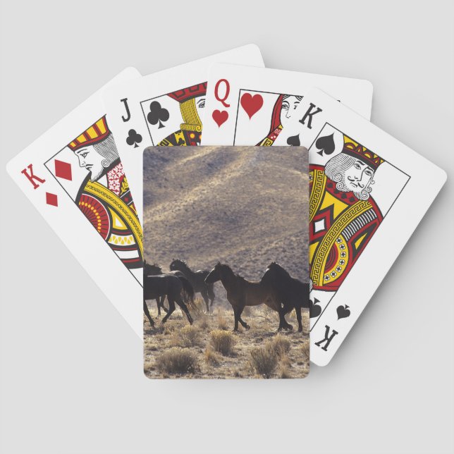 Wild Mustang Horses in the Desert 1 Playing Cards (Back)
