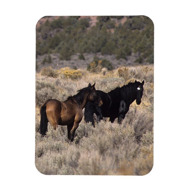 Wild Mustang Horses in the Desert 2 Magnet (Vertical)
