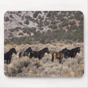 Wild Mustang Horses in the Desert 2 Mouse Pad