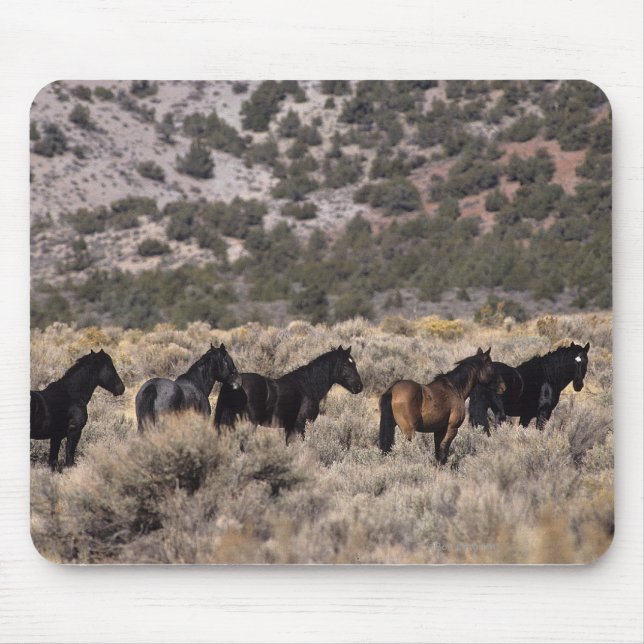 Wild Mustang Horses in the Desert 2 Mouse Pad (Front)