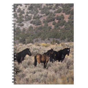 Wild Mustang Horses in the Desert 2 Notebook