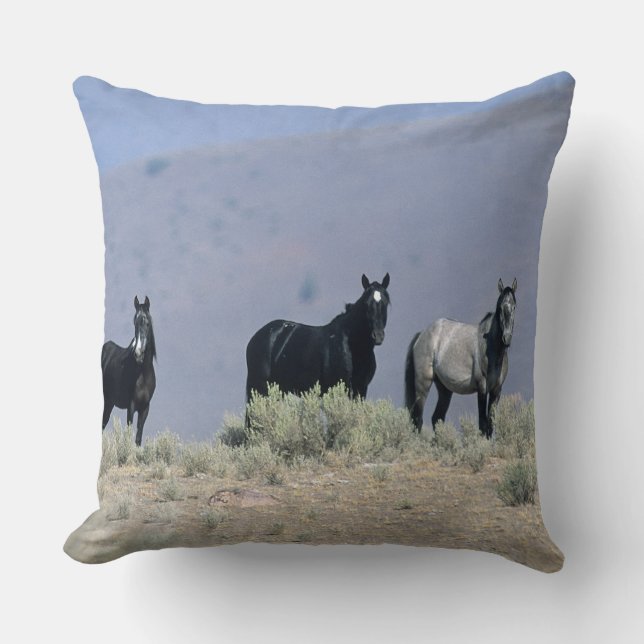 Wild Mustang Horses in the Desert 3 Cushion (Front)
