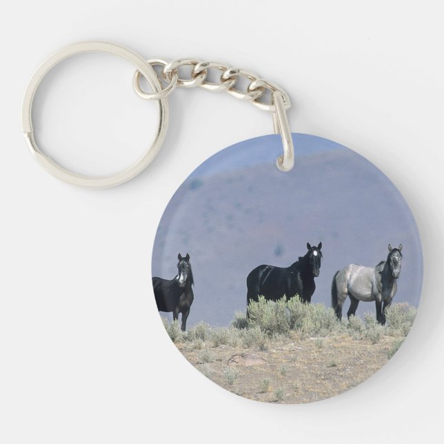 Wild Mustang Horses in the Desert 3 Key Ring (Front)