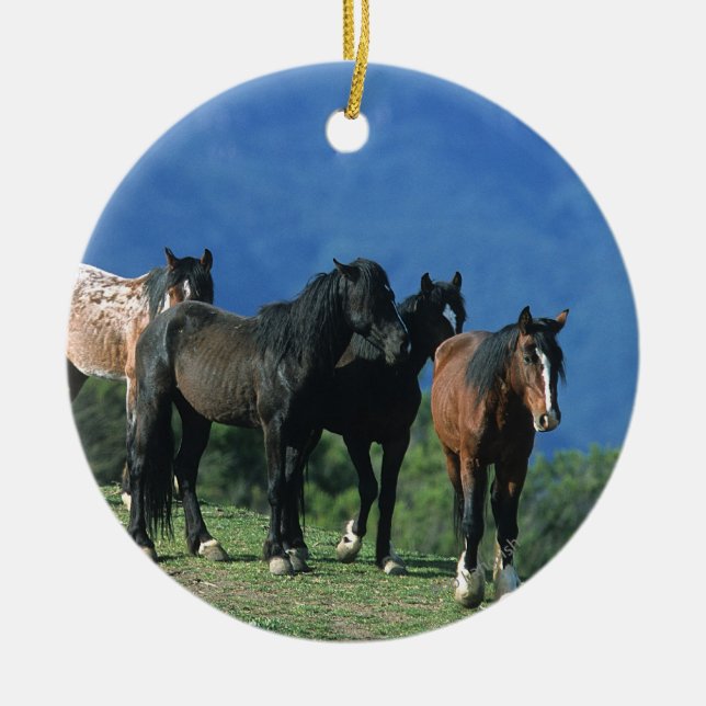 Wild Mustang Horses in the Mountains Ceramic Ornament (Front)