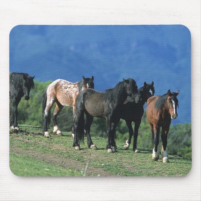Wild Mustang Horses in the Mountains Mouse Pad (Front)