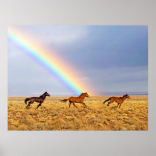 Wild Mustang Horses Running and Rainbow Poster