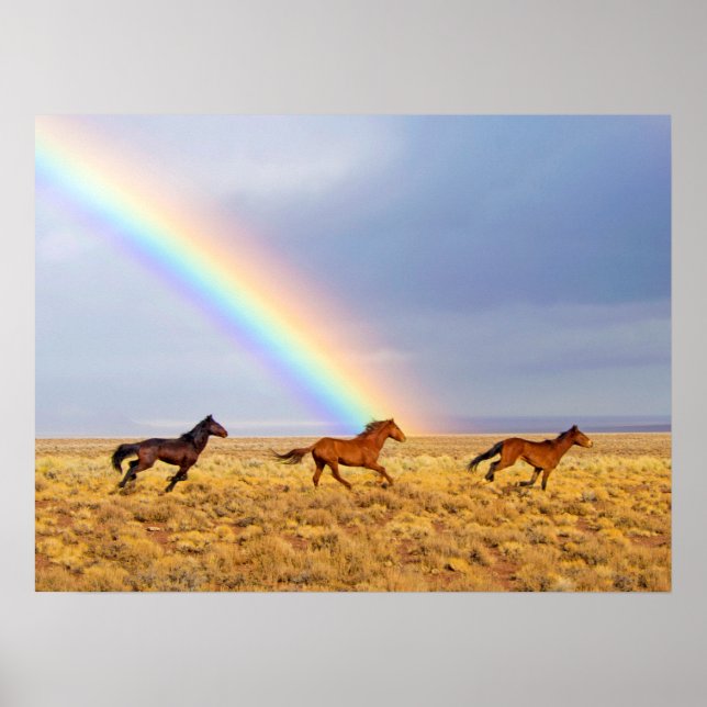 Wild Mustang Horses Running and Rainbow Poster (Front)