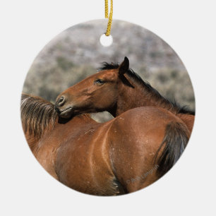 Wild Mustang Horses Touching Ceramic Tree Decoration
